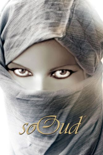 SoOud-visual-www