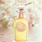 A4 oranger en fleurs