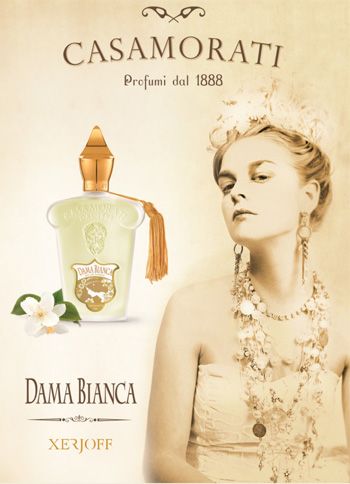 dama bianca