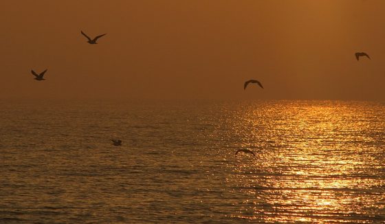 www.plfoto.com