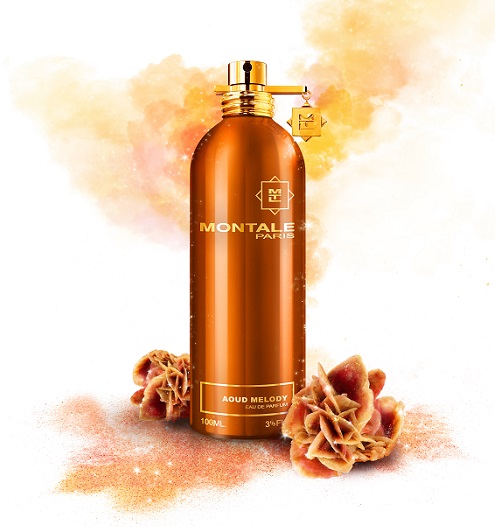 Montale Aoud Melody
