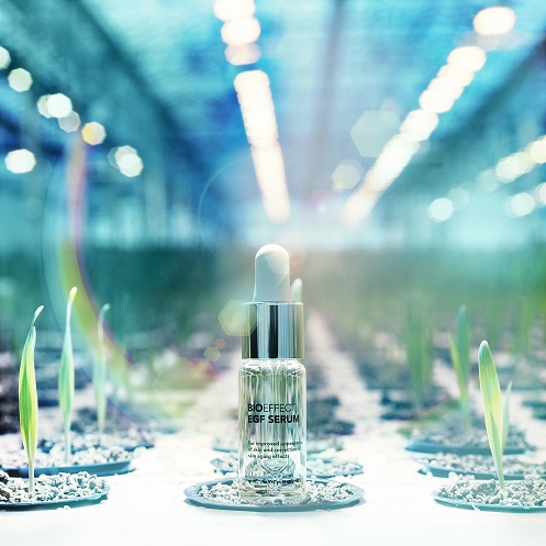 BIOEFFECT EGF SERUM_w szklarni