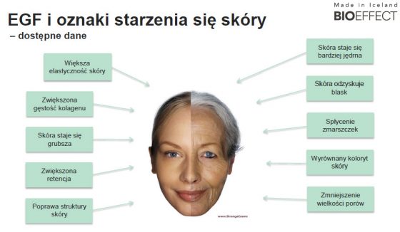 Efekty