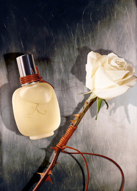 Rose d`Homme