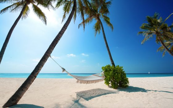 Hamak na plaży