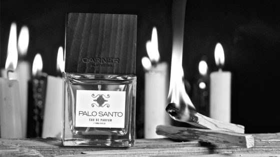 palo-santo-video-bg
