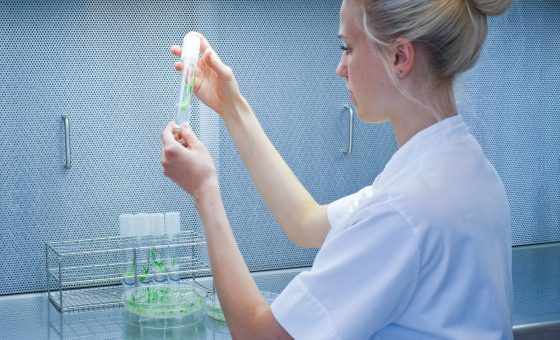 barley plants in test tubes analyzed