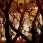 Oud du Jour_visual